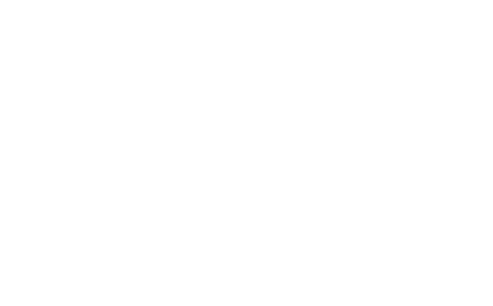 The Secret of Everything Logo